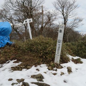 後山頂上。雪が、ない！。