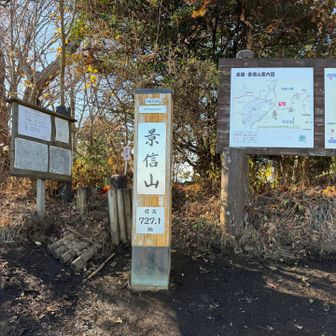 あっという間に景信山⛰️