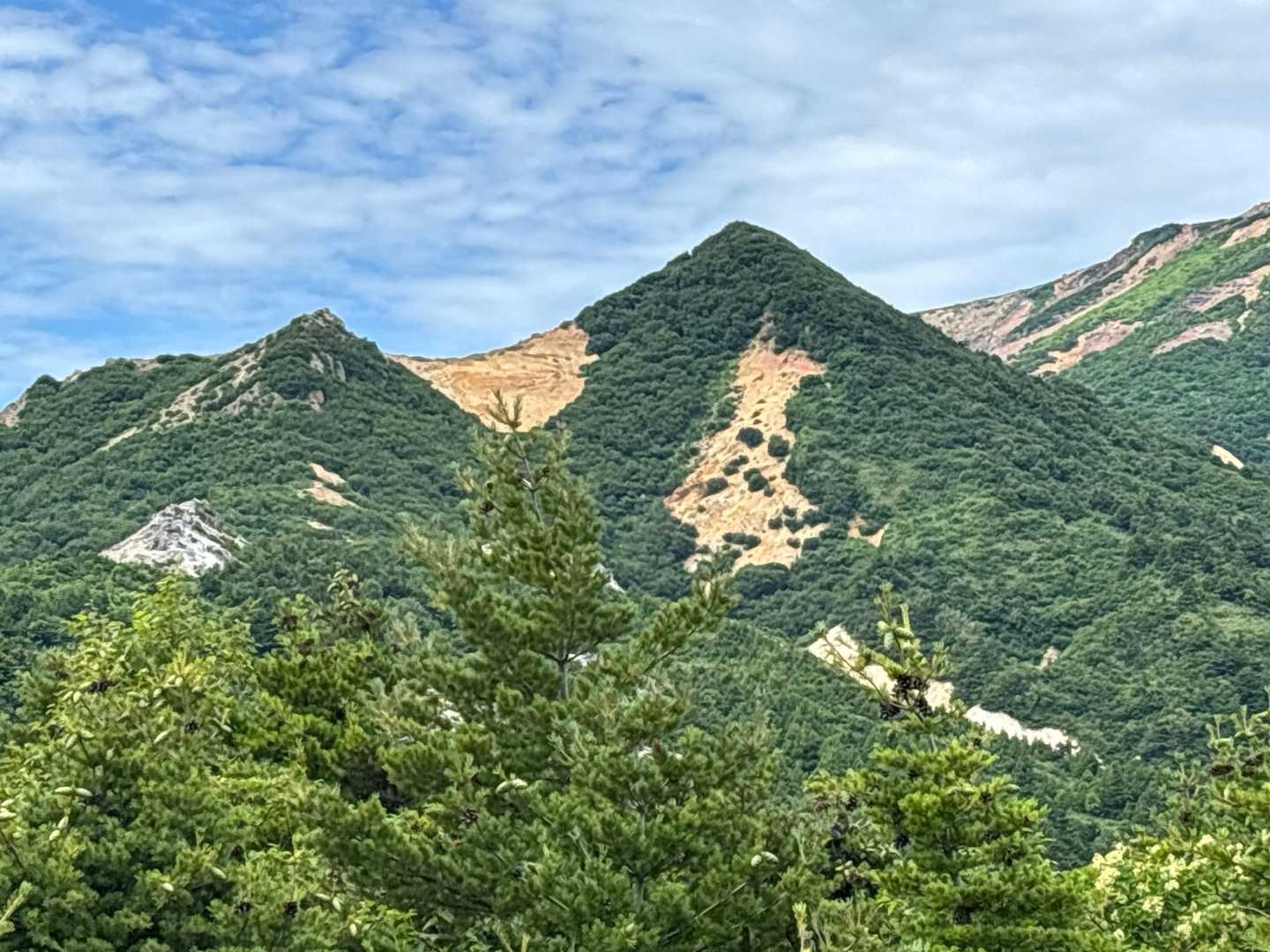 おー‼️
駱駝山みっけ