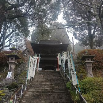 まだまだ上の方まで階段が続く。