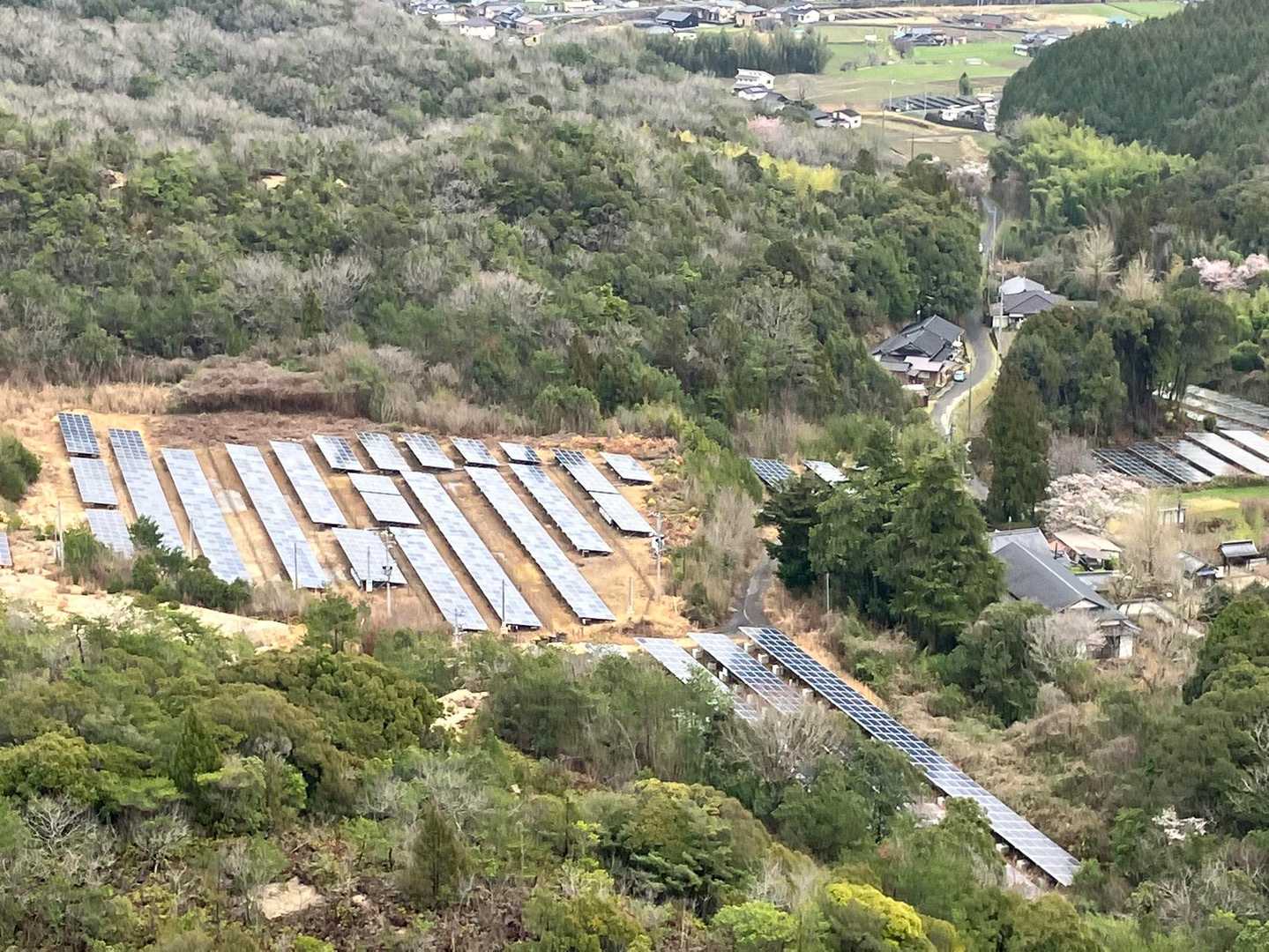 通化寺からミモザの道を邪魔している太陽光発電
