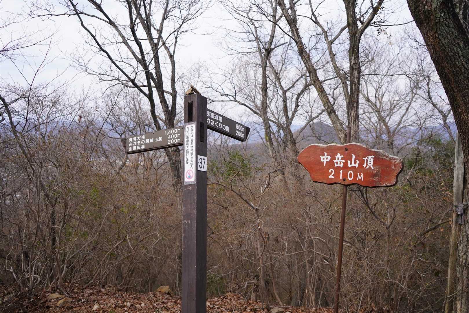 中岳