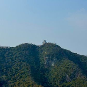 岐阜城🏯