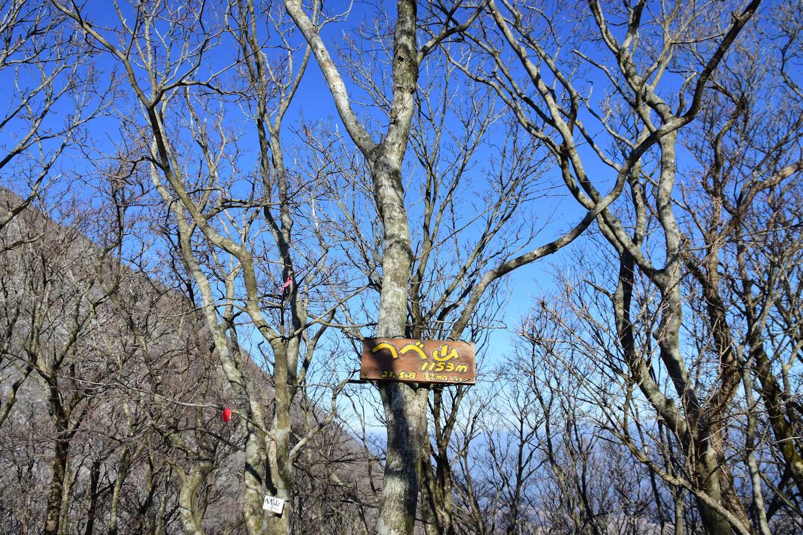 途中からショートカットしてへ山山