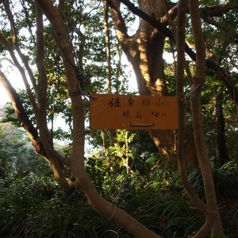 一番高いところ。標高50m！