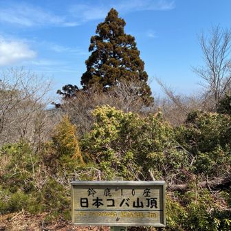 到着。
ここは紅葉の木に囲まれてるから秋は綺麗みたいです。
近くのおじちゃんが教えてくれました。