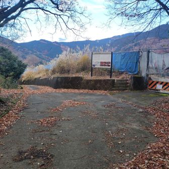 城山頂上に、着いたようです。