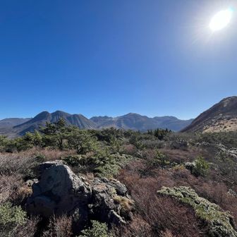 最高の天気☀️