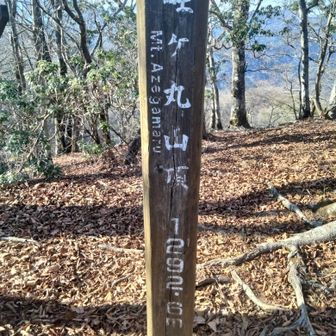 やったぁ～🐒
畦ヶ丸さんに出会えたよ🥹