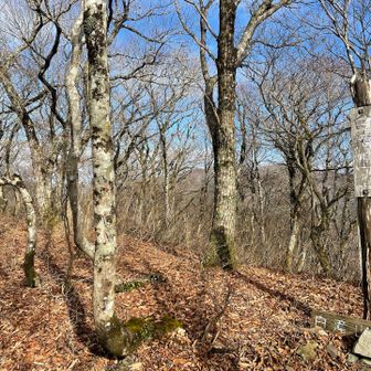 白滝山は眺望つらい