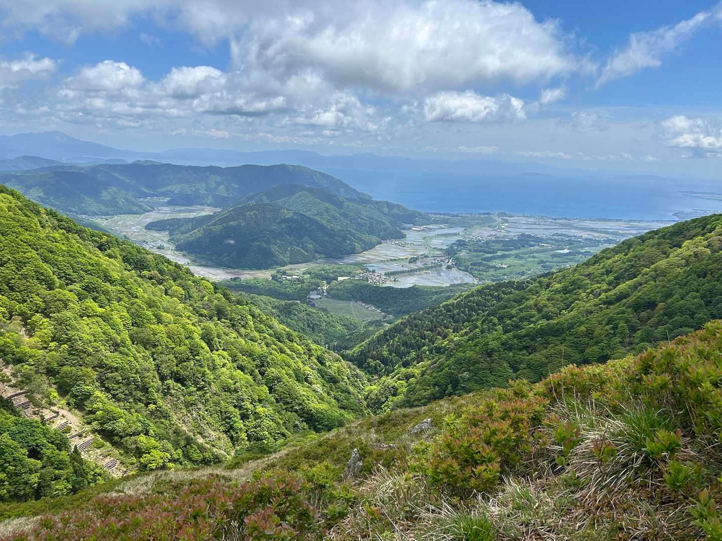 赤坂山・寒風周回 | 明王ノ禿の絶景と稜線歩き、締めはマキノ高原温泉の写真