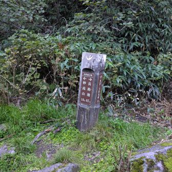 さてここからが激登り本番