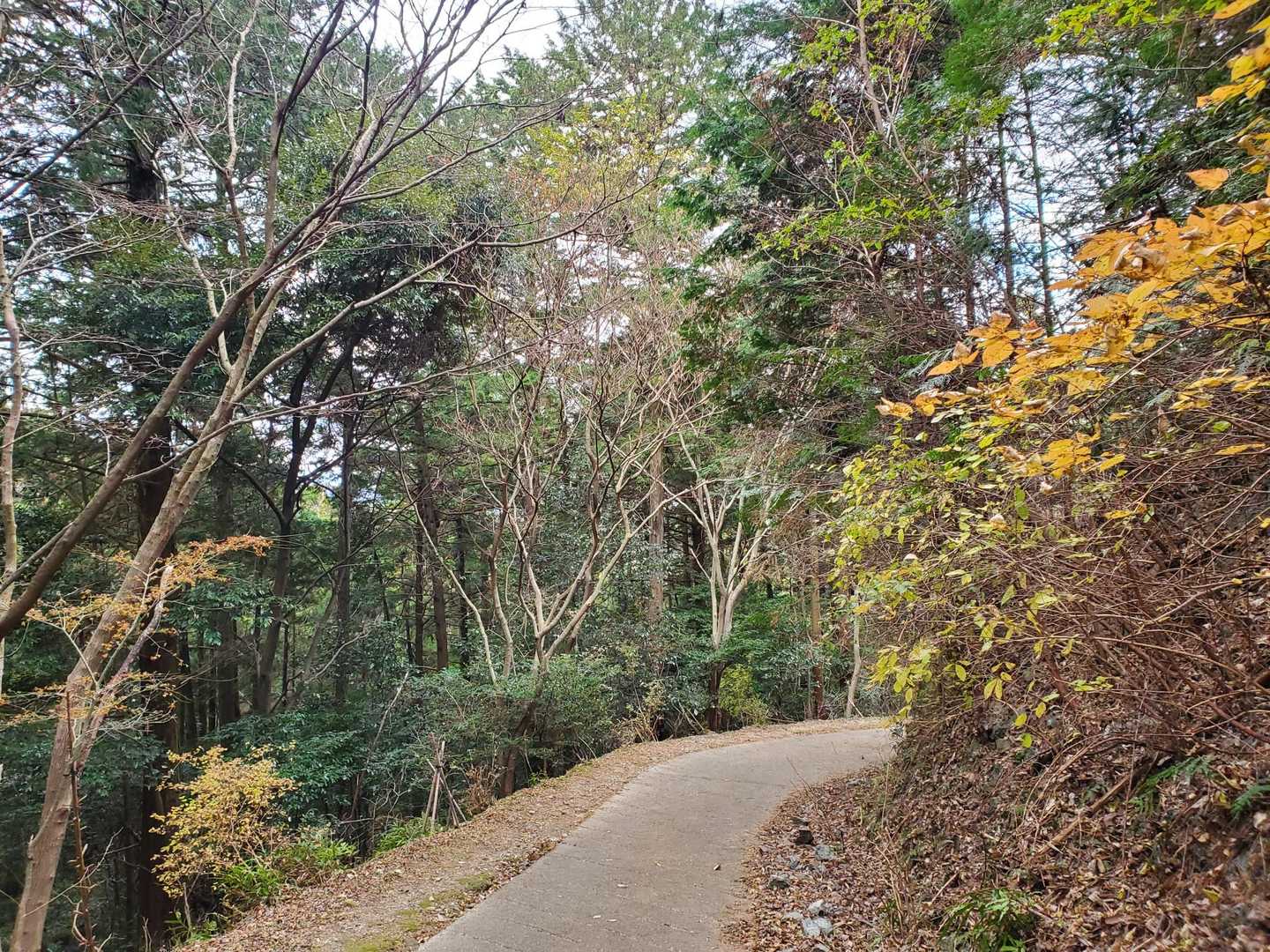 的山登山口-的山 周回コースの写真