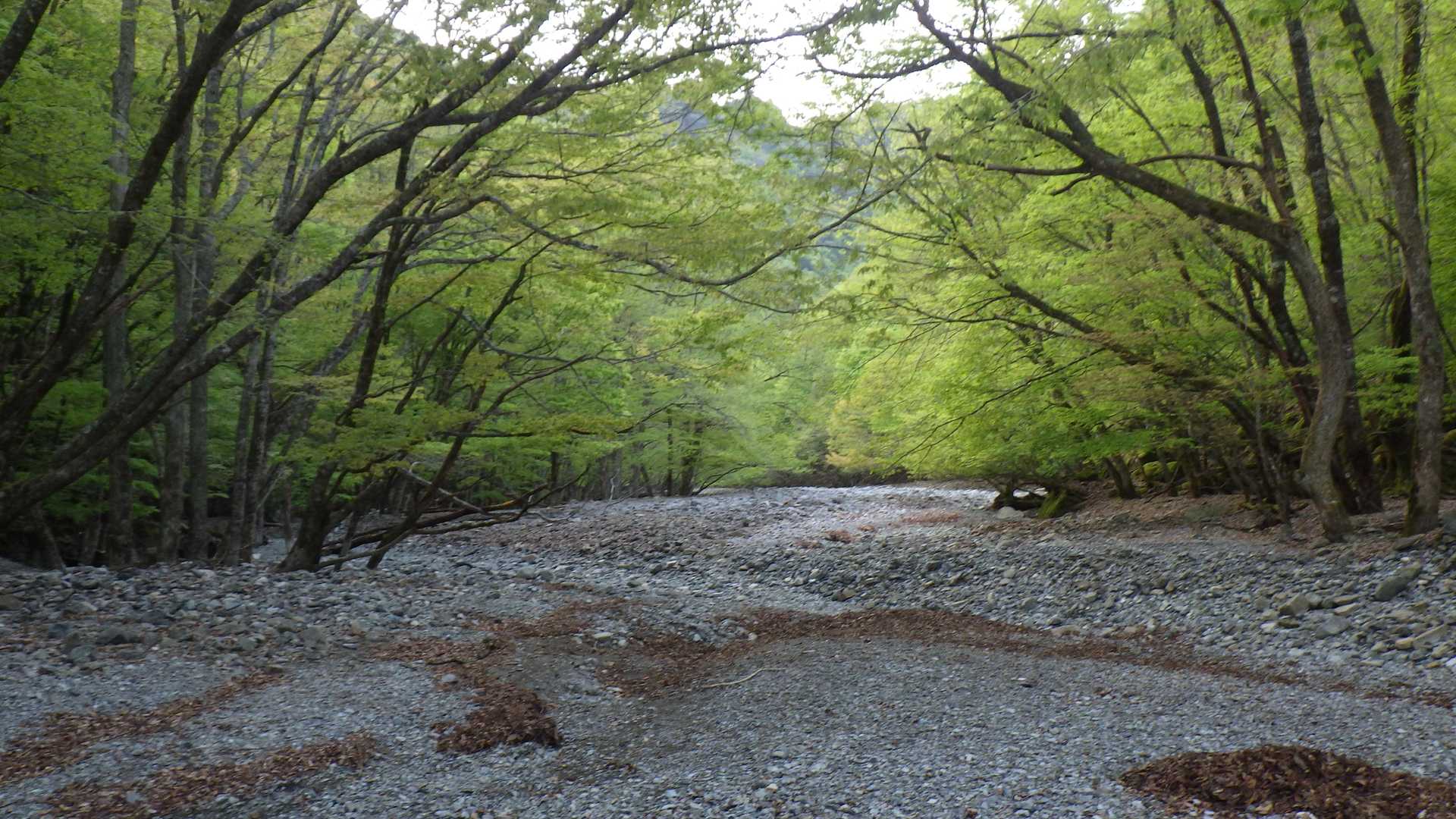 熊渡登山口-弥山 往復コースの写真