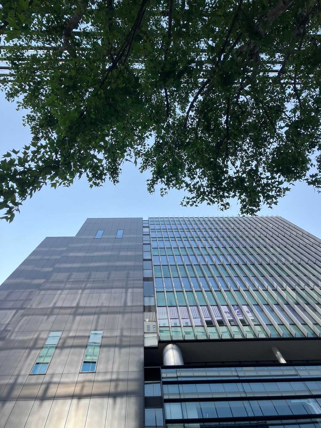 広島東照宮・尾長山 往復コースの写真