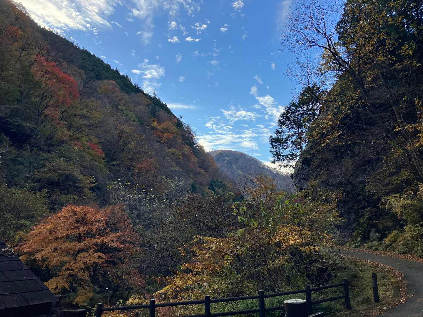 川乗橋バス停-川苔山-真名井沢ノ峰-赤久奈山-古里駅 縦走コースの写真