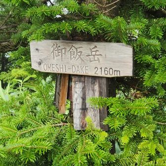 御飯岳５度目登頂