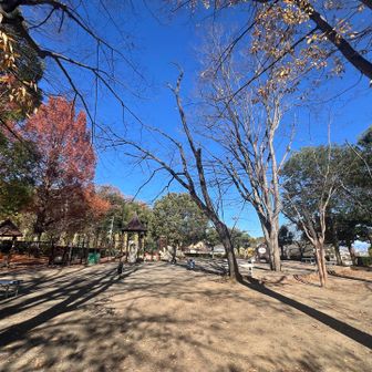 親子で遊んでる姿を懐かしむワタクシ達

1人なら笑顔で素通りするシーンも
夫婦だと昔話しに花が咲きます