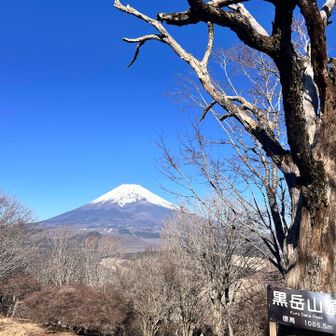 いいね！いいよいいよ！心の中で褒めまくる。
