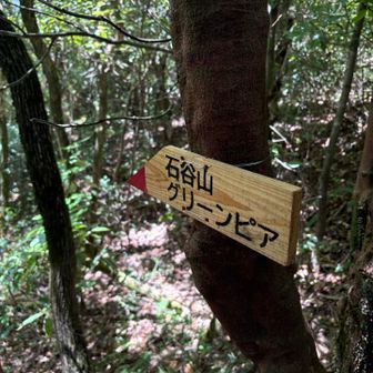 五ケ山へ