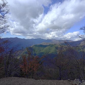 川苔山山頂から