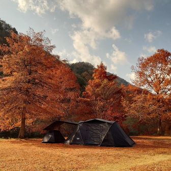 ゜◎  SUZUKI  ◎   ゜