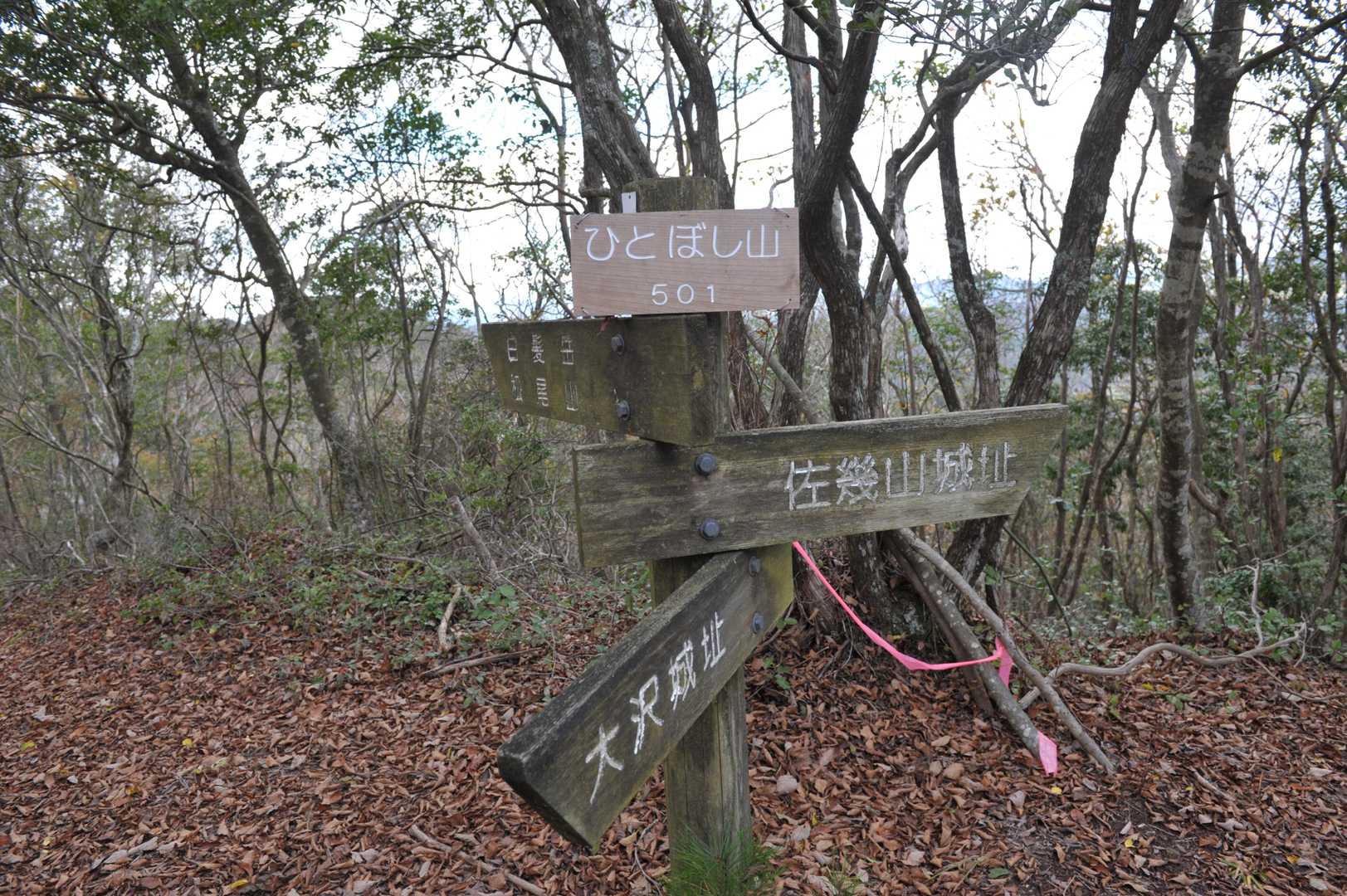 そして、本日最後のピーク、ひとぼし山。
このあたりいろいろと城跡があるようです。