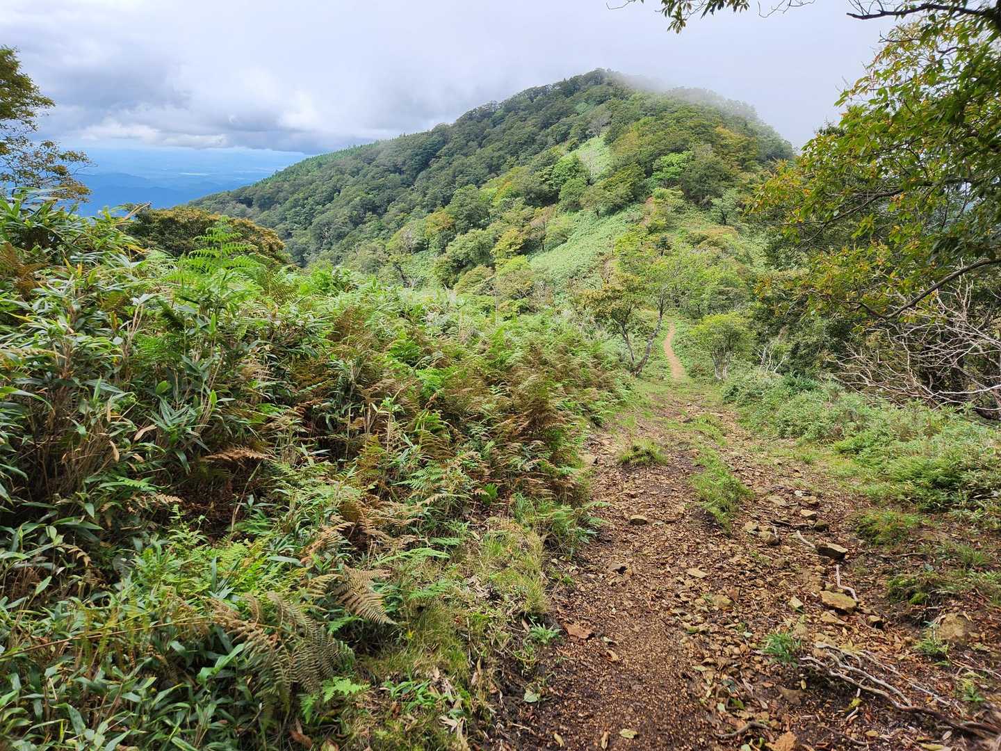 駒の尾山-鍋ヶ谷山-船木山-後山 往復コースの写真