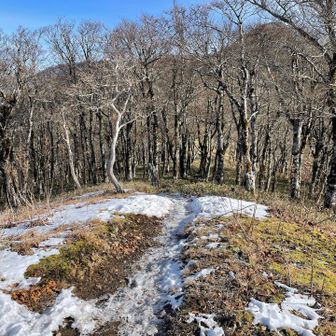 この辺りから残説