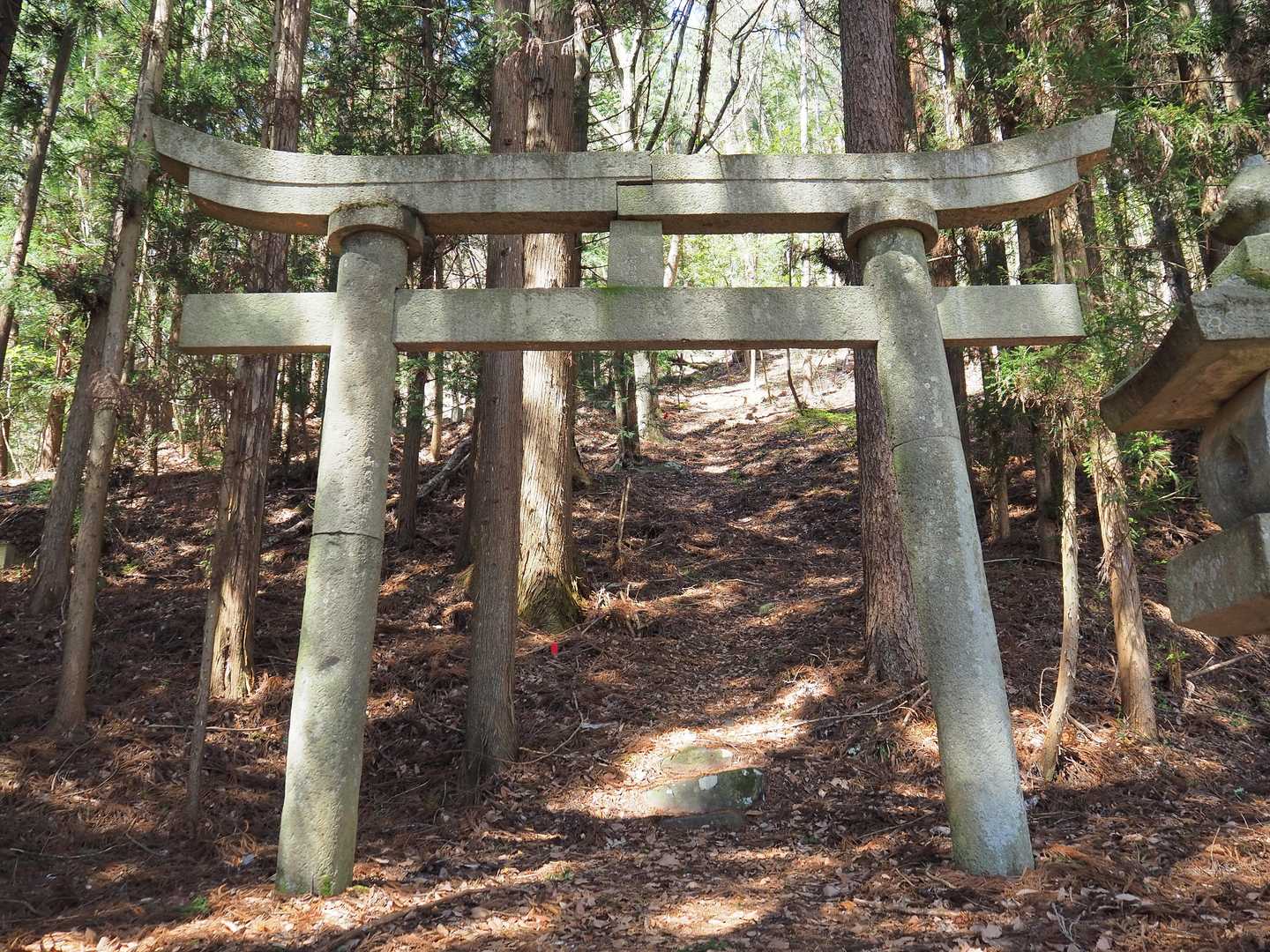 女神岳 往復コースの写真