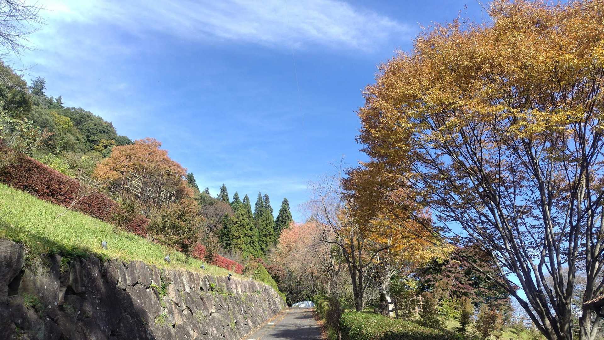 気持ち良い青空だ