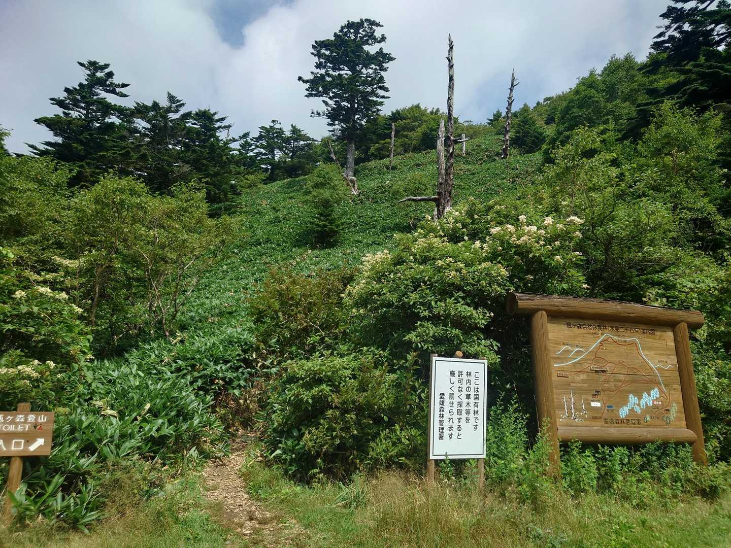 瓶ヶ森登山口。
٩(ˊᗜˋ*)وLet's go！