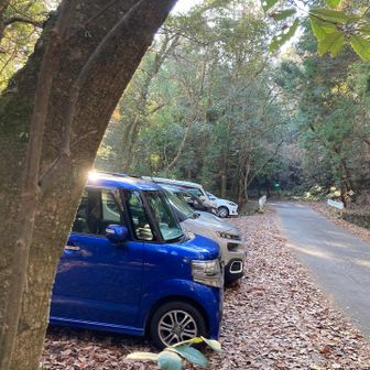 8時半過ぎにいつもの駐車場が満車
水神さんのところに停めました