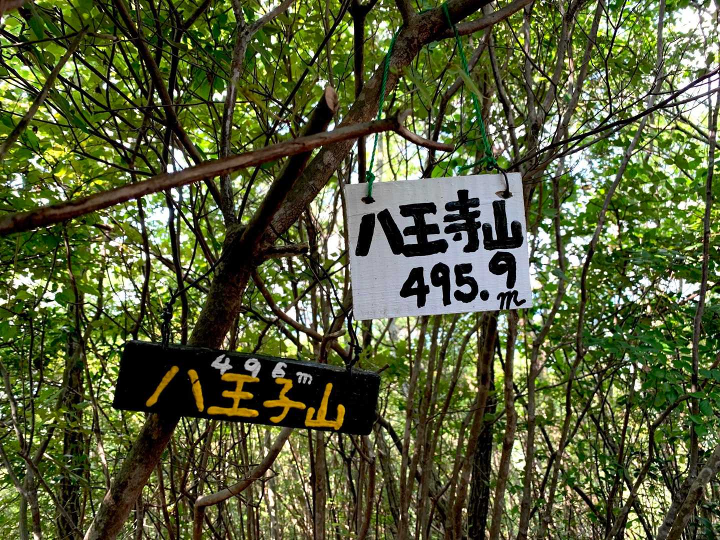 昼食時間は40分⏰の後
歩き続けて、第二ピーク『八王子山』へ
