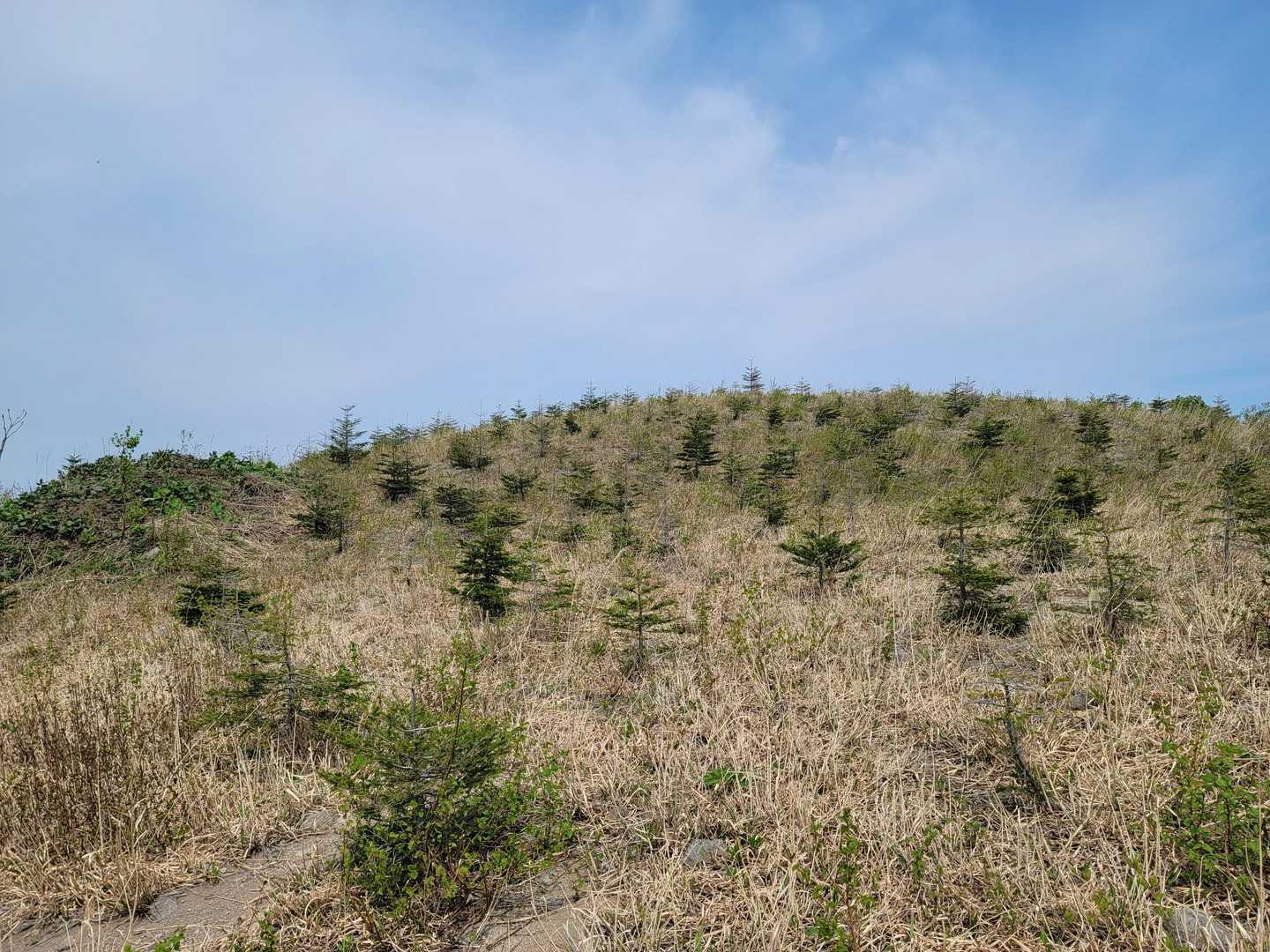 山頂へ
