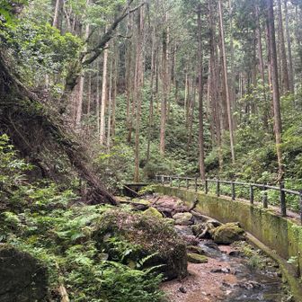 宿谷の滝へー！
すでに涼しい！