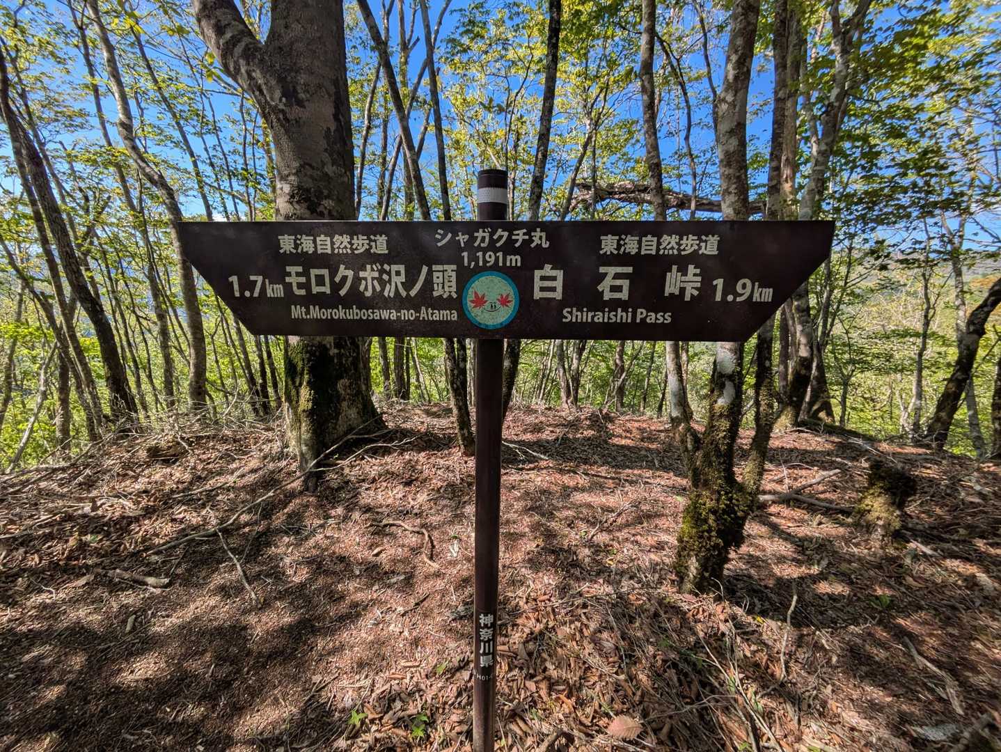 シャガクチ丸
これも面白い名前(^^)