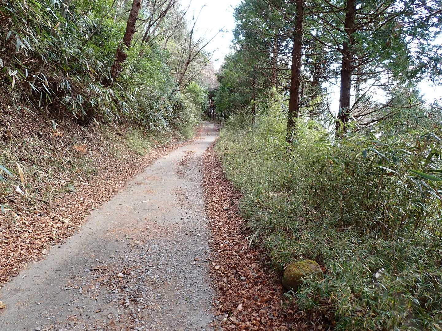 長い林道