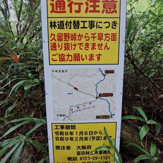 百ヶ辻から久留野峠いかれへんのか～⛔