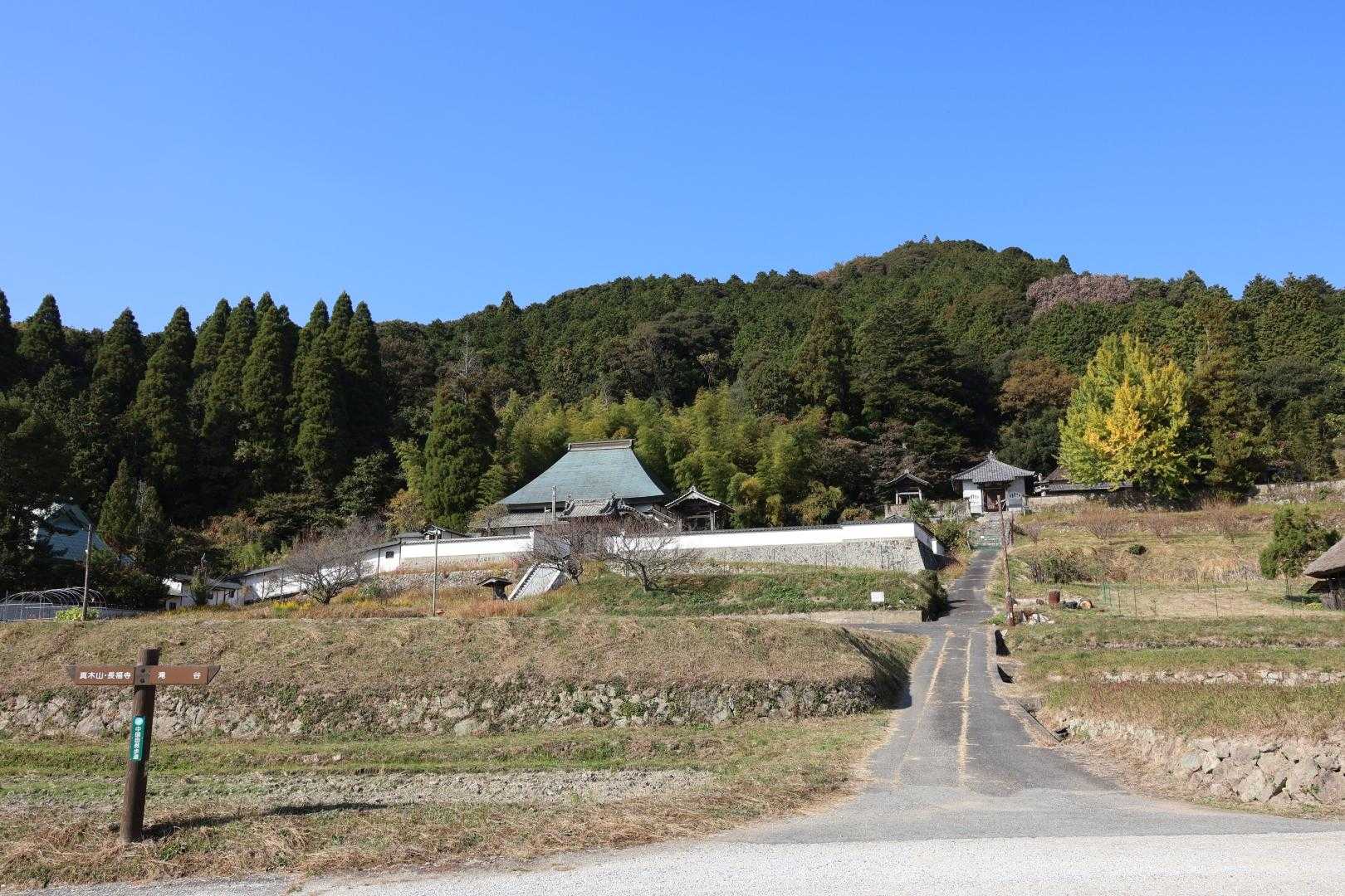 八塔寺山-飯盛山 周回コースの写真