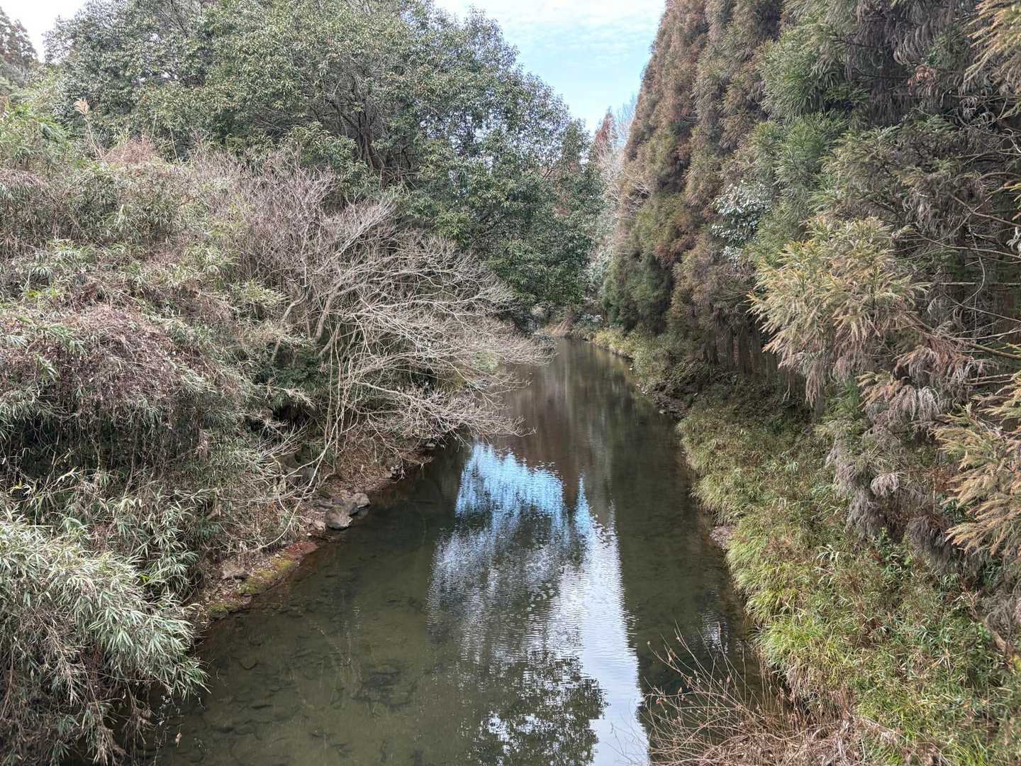 鳥神岡 周回コースの写真