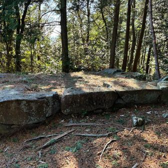 山頂と思ったら偽ピーク