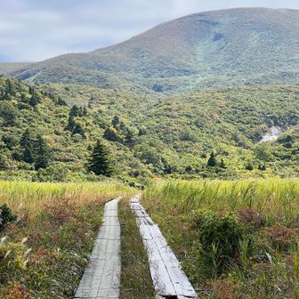 山見ると若干茶色い？