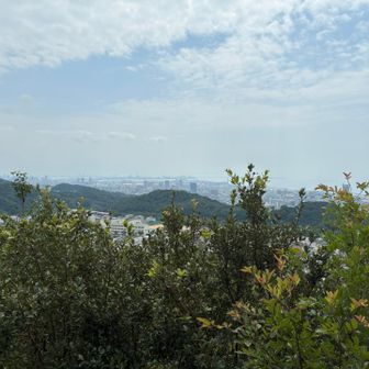景色良すぎる..