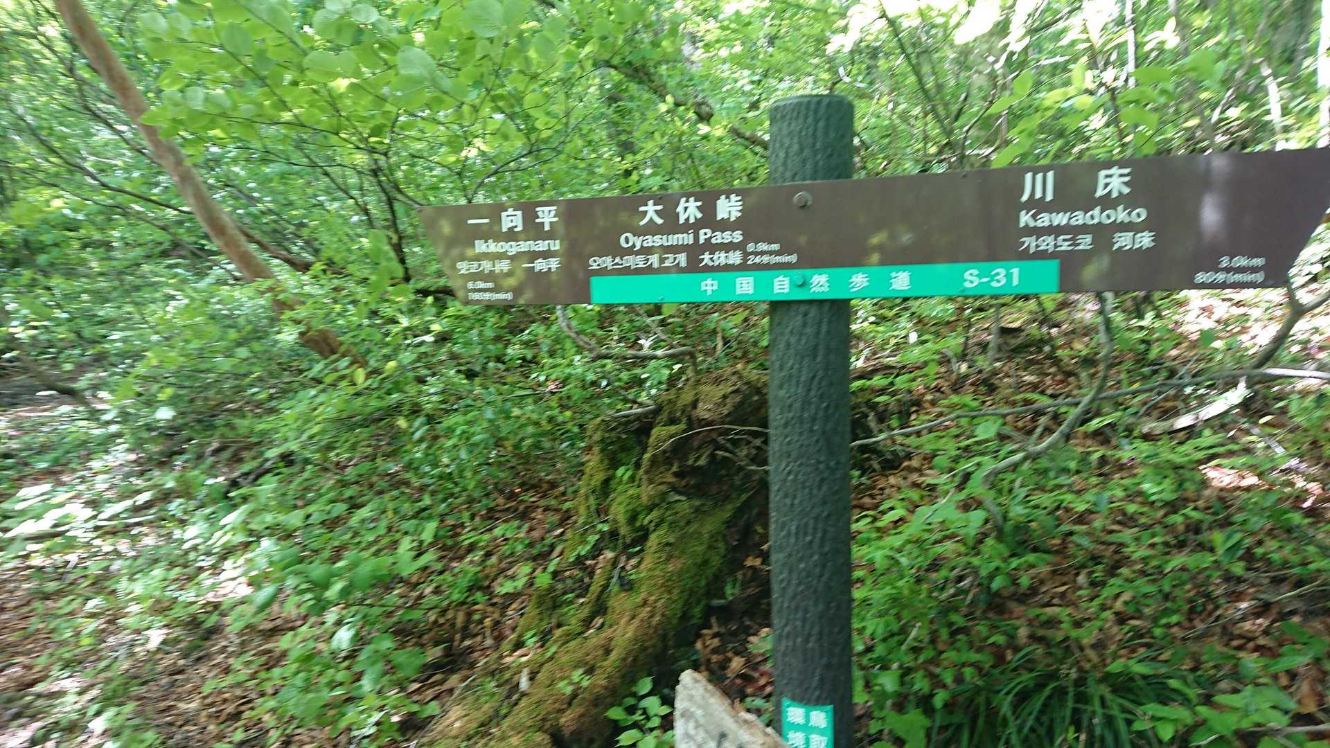 大休峠-矢筈ヶ山 往復コースの写真
