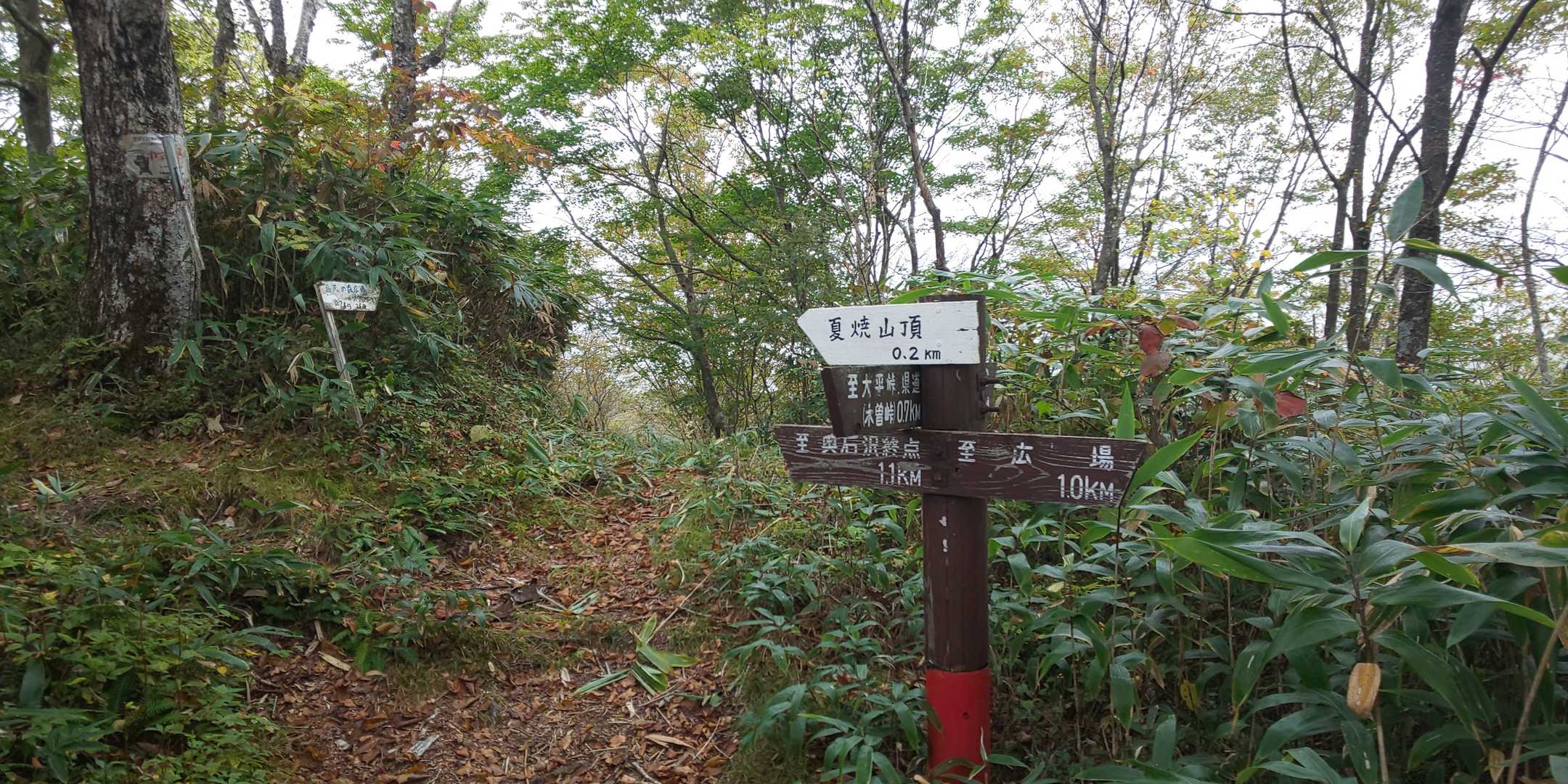 山頂分岐。ここでほぼ山頂と同じ標高。
