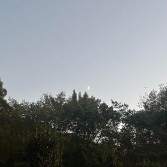 三日月さん🌙