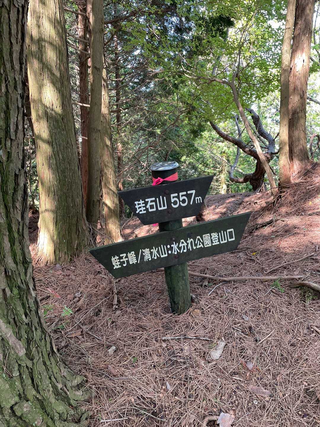 コースから少し外れて珪石山。
周回道から珪石山までは片道2分くらいです。