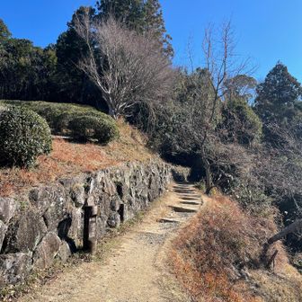 伏拝王子を通ってから本宮大社へ。