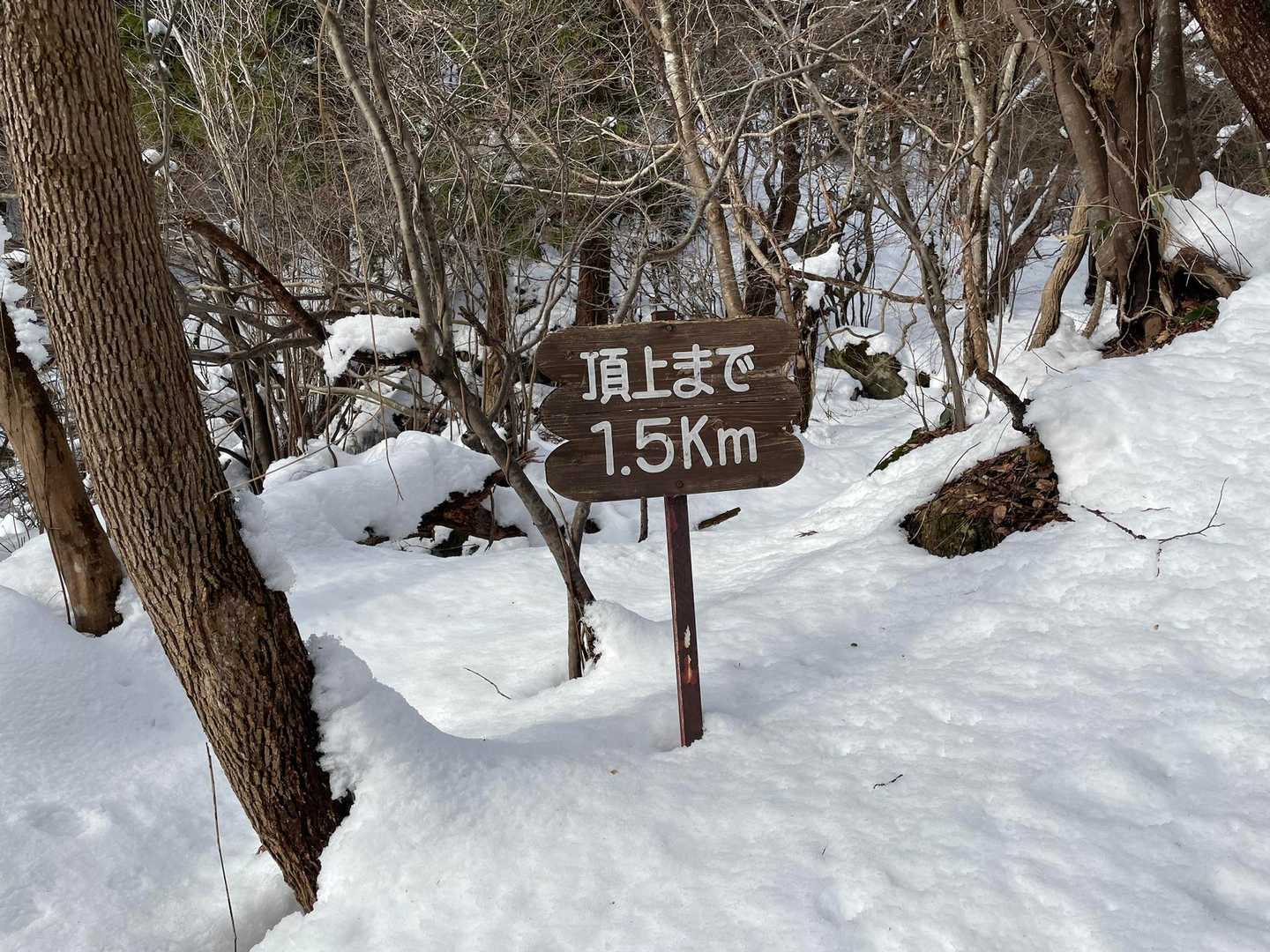 こういう標識有り難い😊